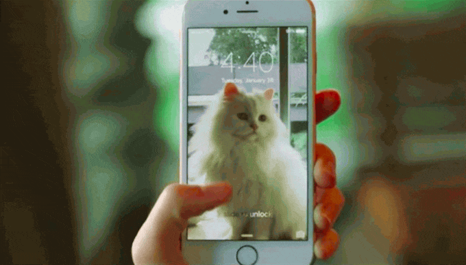 苹果希望在 Apple News+ 服务中加入音频内容