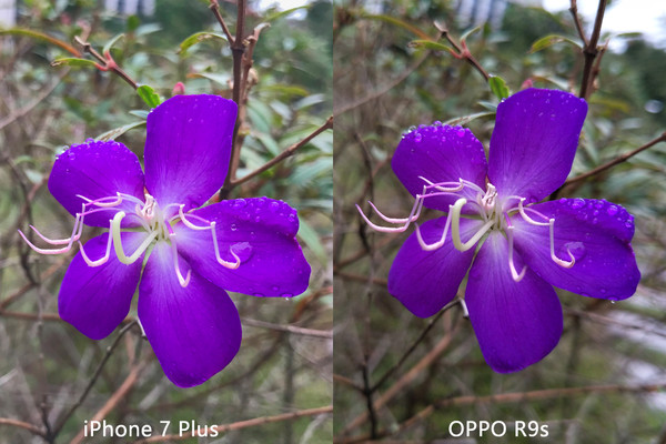 太阳能充电保护壳问世  iPhone续航问题解决了