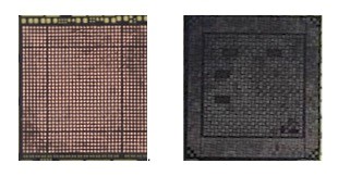 骂声越多买的越多？iPhone6凭什么破预售纪录