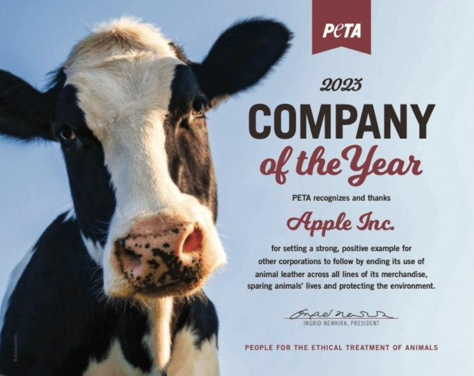 外媒汇总苹果 iPhone 16 Pro 系列机型的 30 项改进和变化