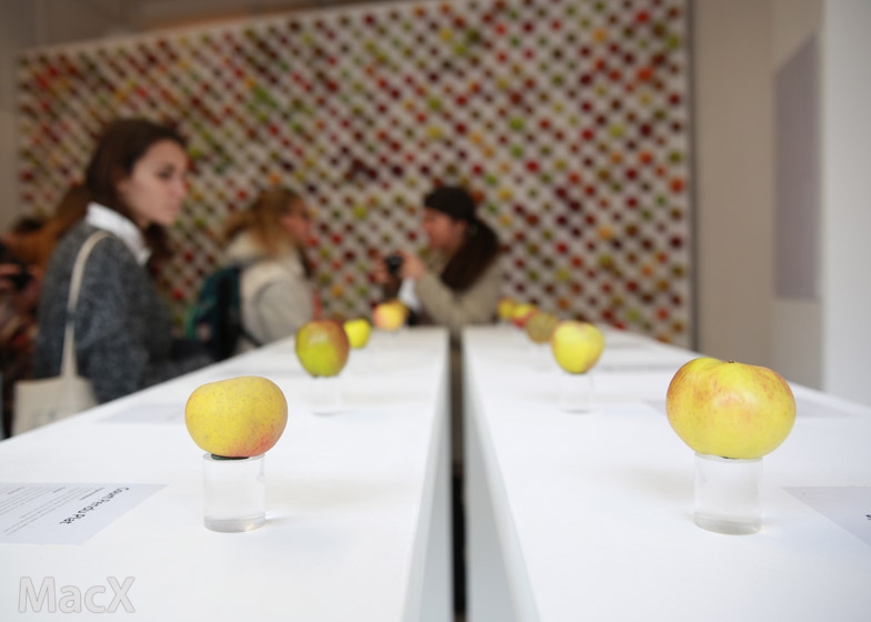 iPhone使用寿命不断延长，苹果是喜是忧？