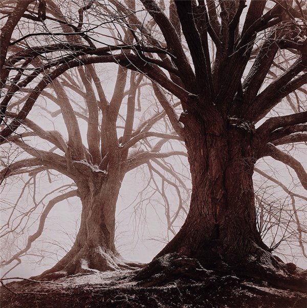 苹果强力优化iPhone X：浏览网页避开突兀刘海