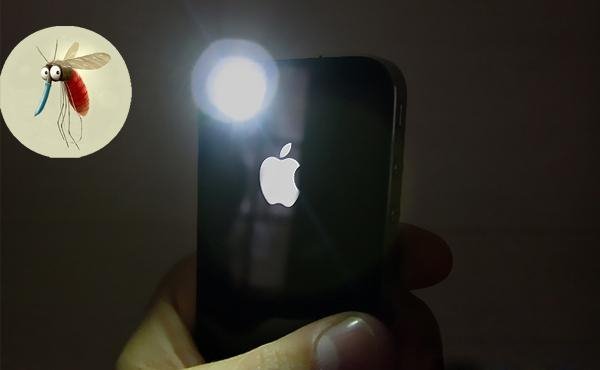 App Store应用大规模下架 其实没那么复杂