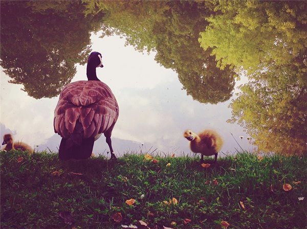 扫999元红包？这“麻辣手机”味道杠杠的