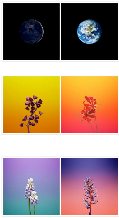 其他国家和地区的苹果官网通知 Apple Store 已关闭