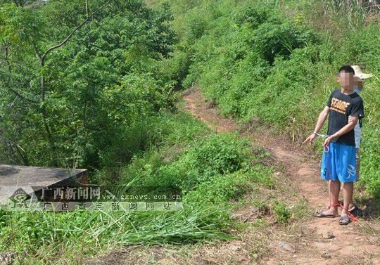 传Apple Pay将跟随iOS 8.1于10月20日启用