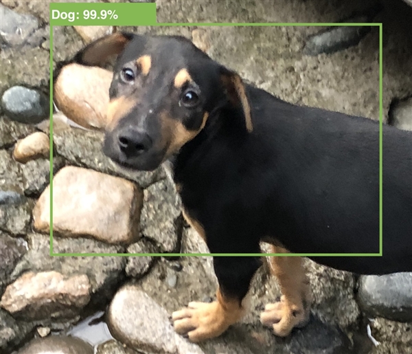 Apple 发布 iOS 13.4/iPadOS GM 版，正式版将于 3 月 25 日推送