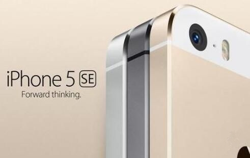 外媒：iPhone 11 Pro Max 与 Galaxy Note 10+ 拍照对比